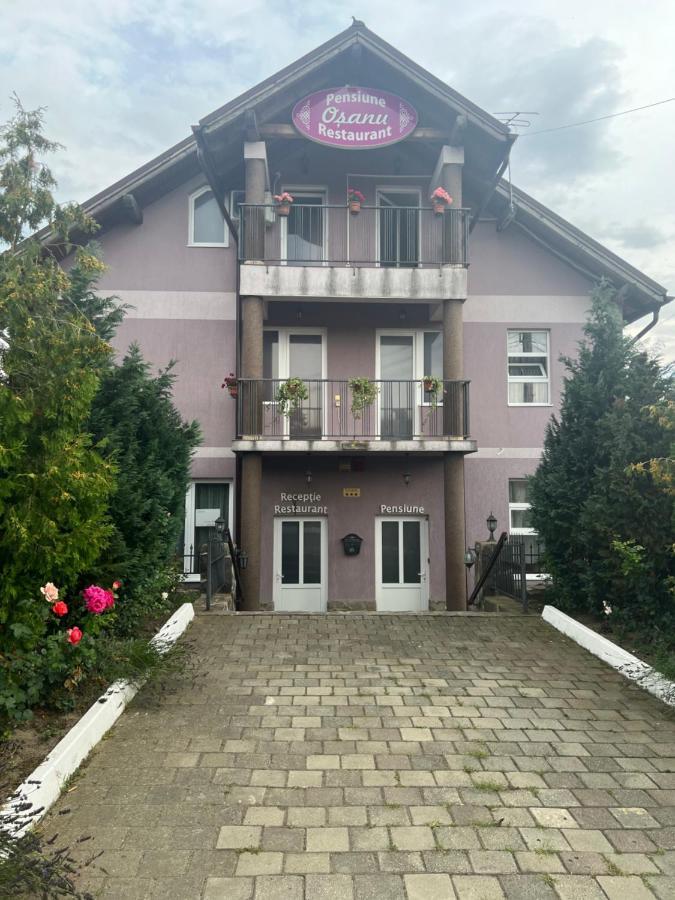 Pensiune Osanu Сибиу Екстериор снимка